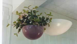 Hanging Saucer