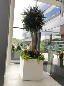 Fiberglass Lipless flat bottom Square Planter