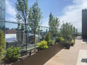 Fiberglass Engineering Planters 280 Park Ave (ECL)