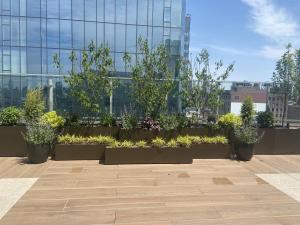 Fiberglass Engineering Rooftop Planter Grouping