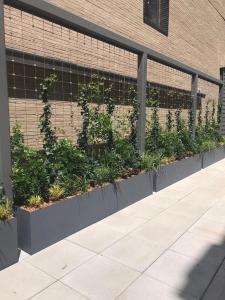 535 Greenwich(3) Lipless Flat Bottom Fiberglass Planters