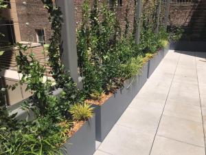 535 Greenwich(4) Fiberglass Lipless Flat Bottom Planters