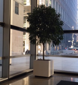 Square Return Lip Recessed Base Planter Model B3636