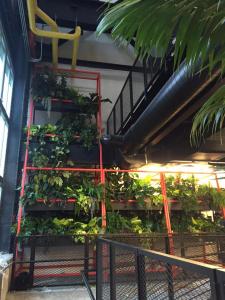 Fiberglass Planters BNY New Lab2