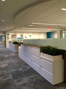 Fiberglass Interior Planters