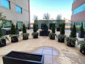 Fiberglass Lipless Cylinder Planters Hackensack Hospital Rooftop
