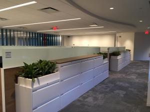 Fiberglass Interior Office Planter