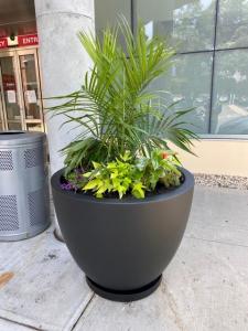Fiberglass Zena Styled Planter w/ Saucer