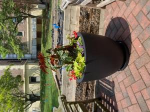 Fiberglass Zena Planter w/ Saucer