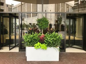 Fiberglass Large White Lipless Flat Bottom Planter