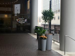 Fiberglass Tall Tapered Cylinders Planters