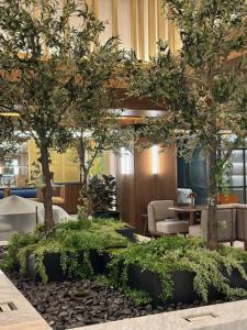 Lipless Flat Bottom Planter