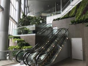 Fiberglass Interior Planters