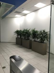 Fiberglass Lipless Flat Bottom Planter