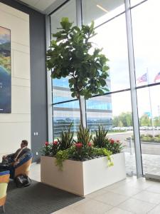 Large Fiberglass Interior Planter