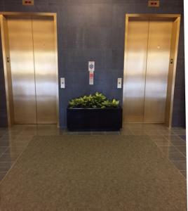 Fiberglass Interior Planter