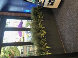 Interior Lipless Flat Bottom Planter