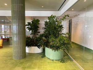 Custom Shaped Fiberglass Planters