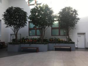 Queens College Atrium 2