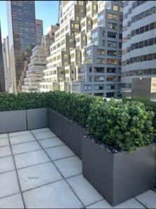 Fiberglass Engineering Planters-320 Park Ave-Blondies Treehouse