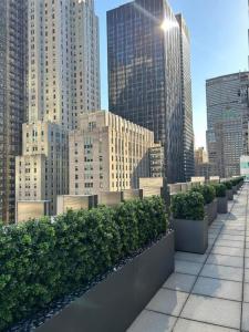 Fiberglass Engineering Planters-320 Park Ave-Blondies