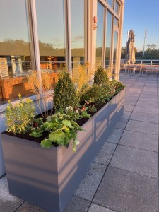 Fiberglass Engineering Lipless Flat Bottom Planters
